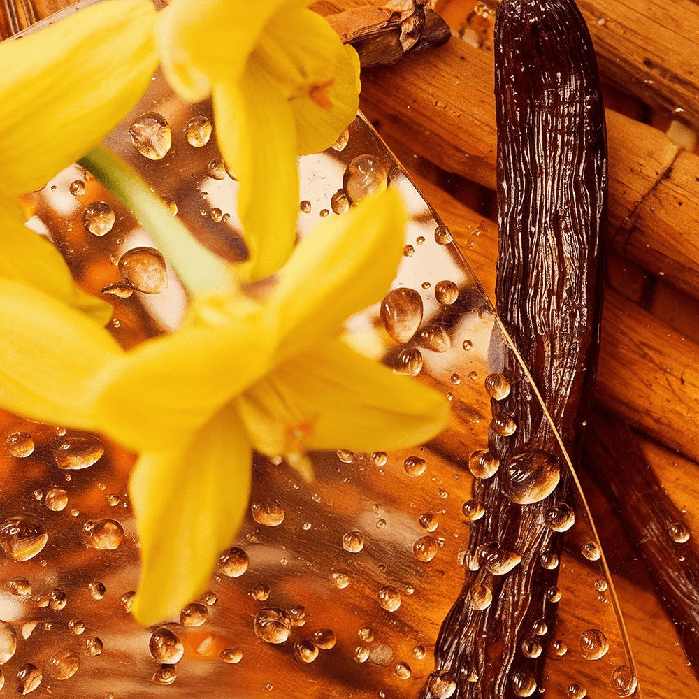 Radiant Renewal Tallow Balm