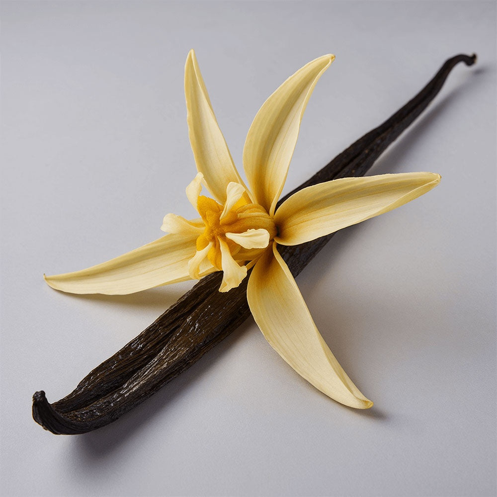 Radiant Renewal Tallow Balm