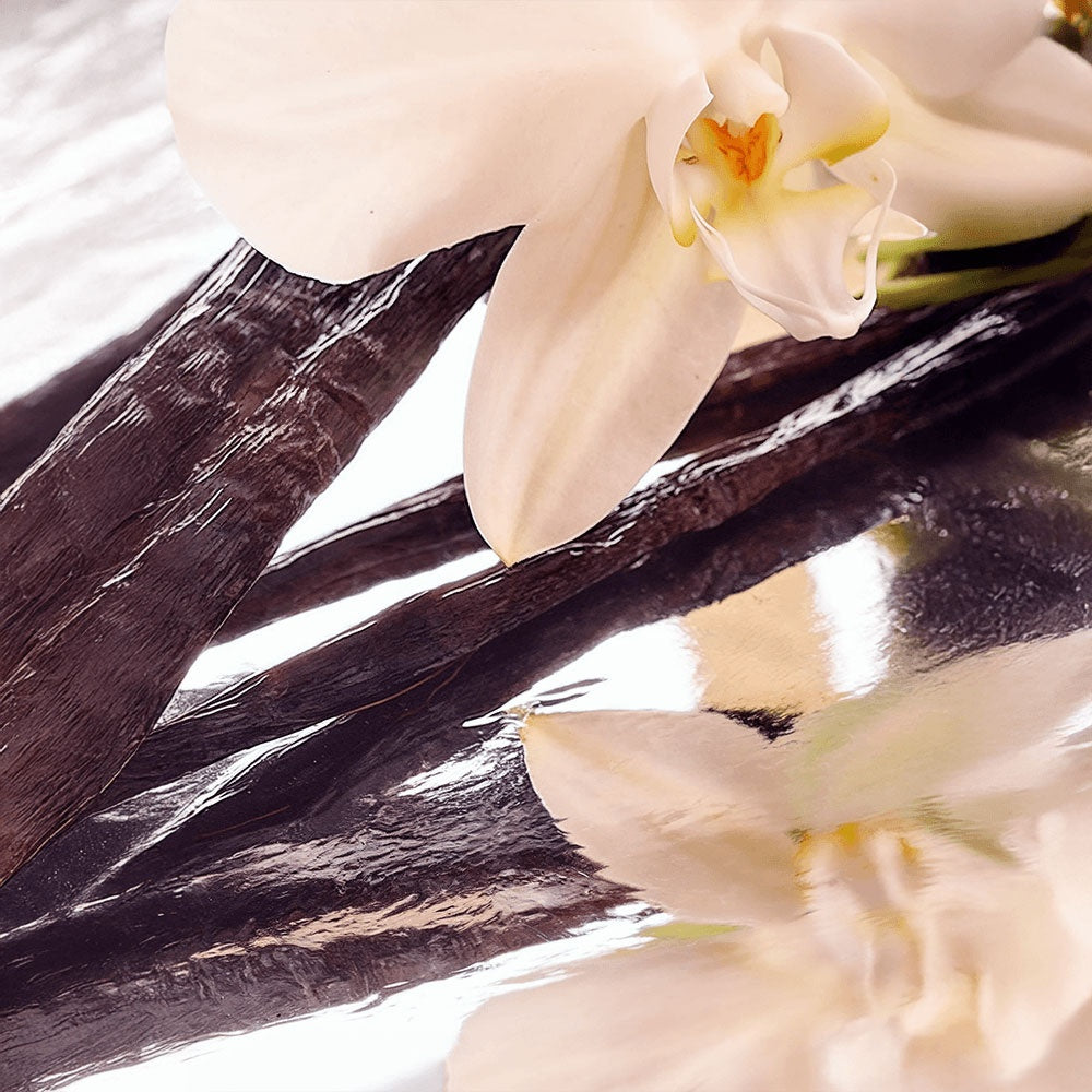 Radiant Renewal Tallow Balm